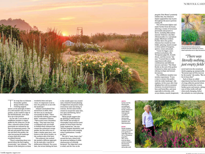 EDP Norfolk Magazine Article August 2020