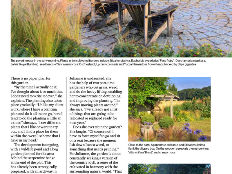 EDP Norfolk Magazine Article August 2020