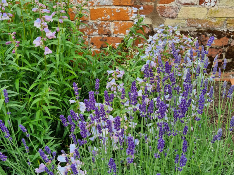 Suffolk Barn Conversion