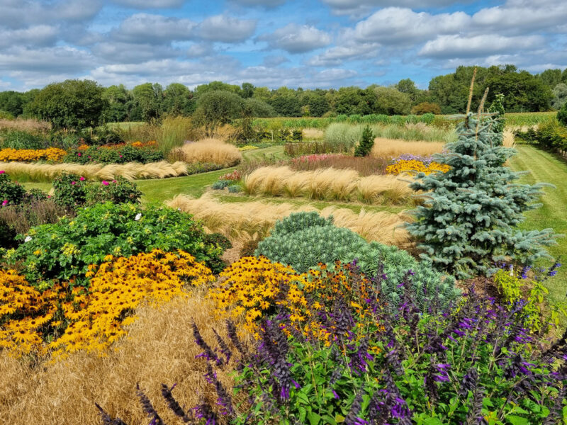 Planting Design Large Country Garden Suffolk