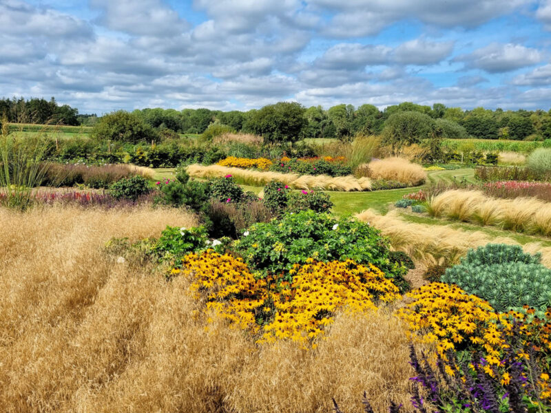 Modern Planting Design