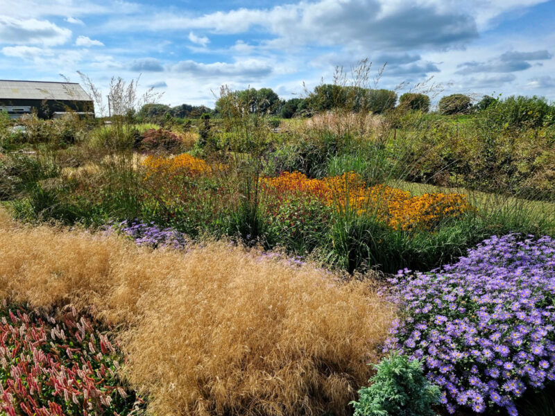 Modern Planting Design