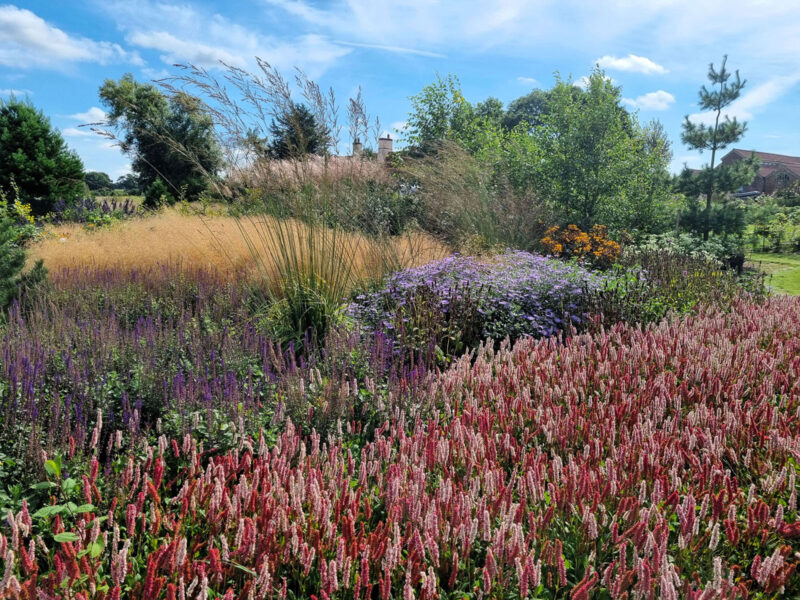 Modern Planting Design