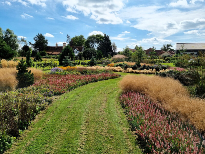 Modern Planting Design